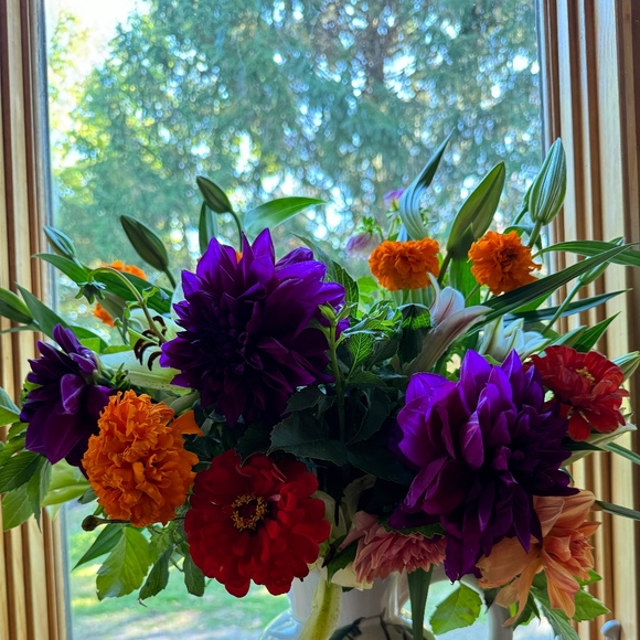 Meet your Posher, Maral - Picture 1 of 1